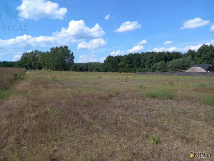 Działki  na sprzedaż, , Chycina, ul. 