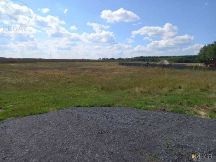Działki  na sprzedaż, Chycina, ul. , 