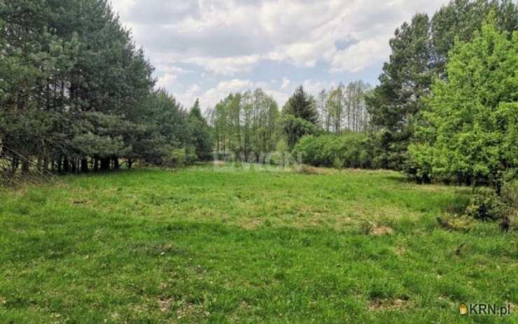 Dąbrowa, ul. , Działki  na sprzedaż, 