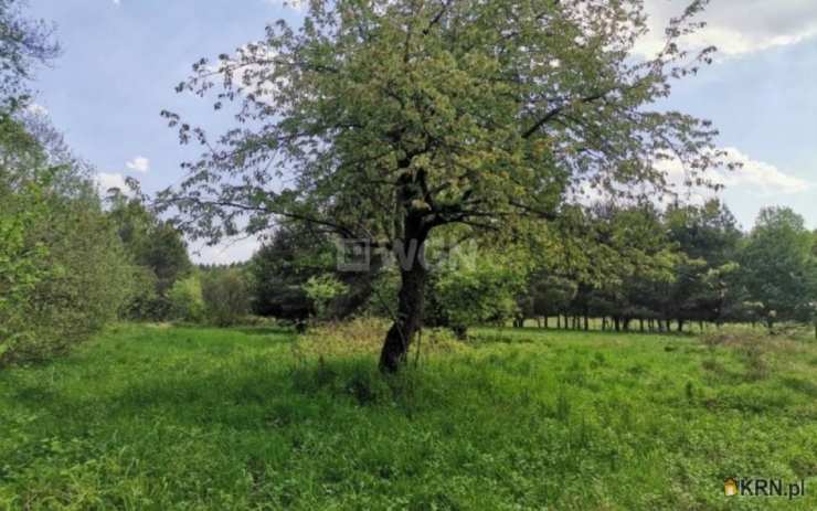 , Działki  na sprzedaż, Dąbrowa, ul. 