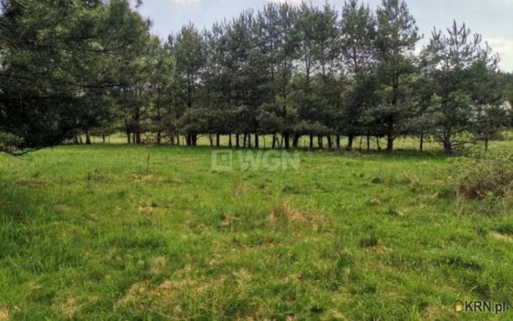 Polkowice Biuro - Agencja Nieruchomości WGN, Działki  na sprzedaż, Dąbrowa, ul. 