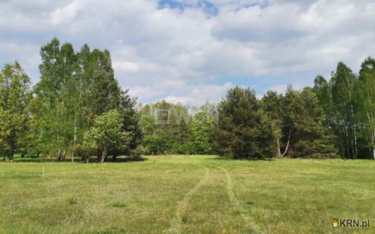 , Działki  na sprzedaż, Dąbrowa, ul. 