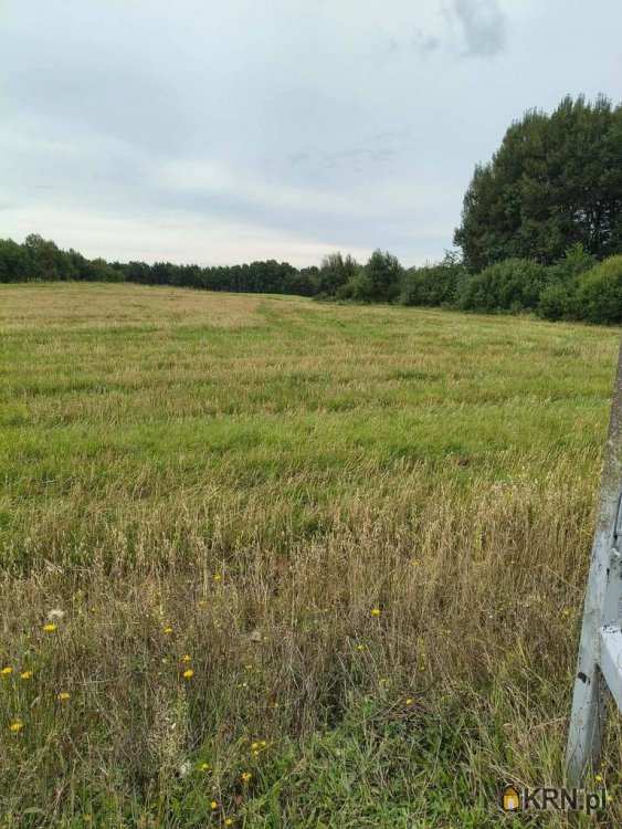 , Donimierz, ul. , Działki  na sprzedaż