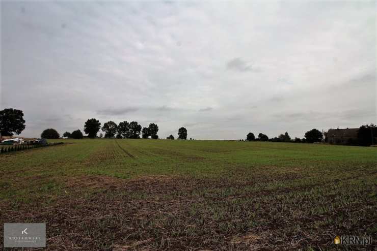 , Działki  na sprzedaż, Dziadowa Kłoda, ul. 