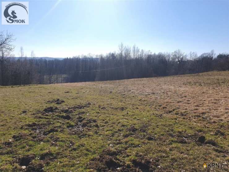 Działki  na sprzedaż, Głogoczów, ul. , 