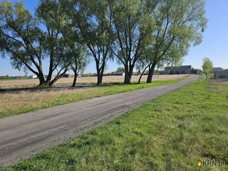 Działki  na sprzedaż, Gołanice, ul. , 