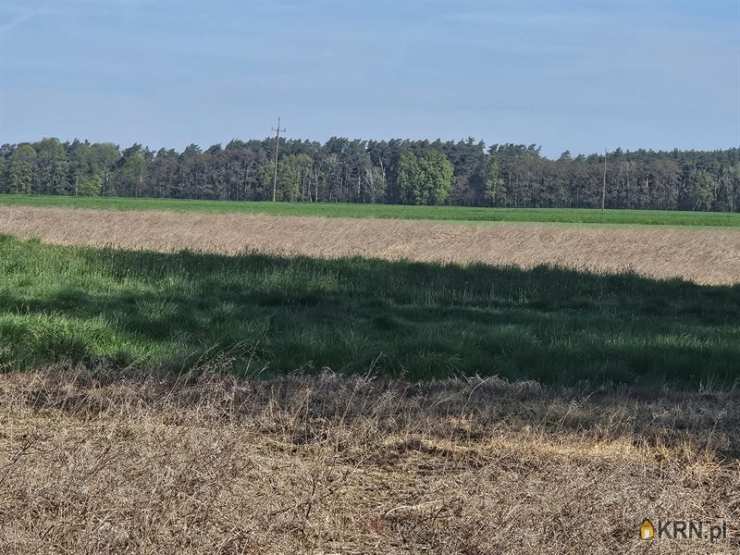 Twoje Centrum Nieruchomości, Działki  na sprzedaż, Gołanice, ul. 