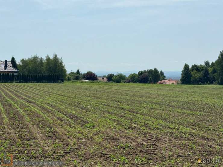 Działki  na sprzedaż, Górna Wieś, ul. , 
