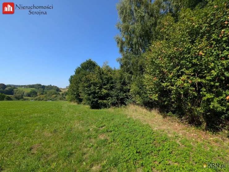 Działki  na sprzedaż, Janowice, ul. , 