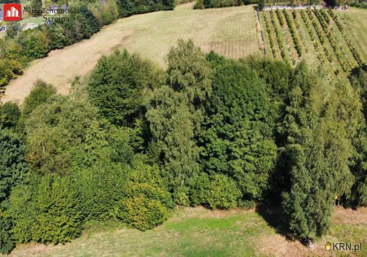 Działki  na sprzedaż, , Janowice, ul. 