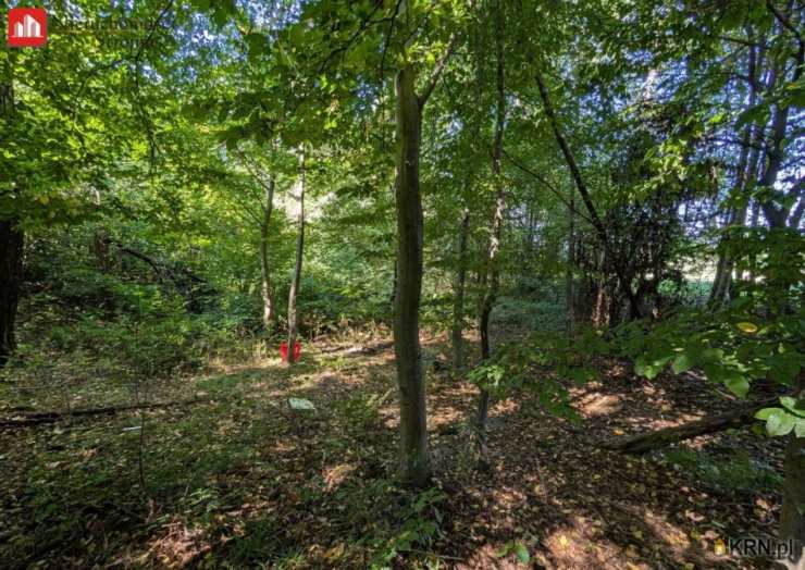 , Działki  na sprzedaż, Janowice, ul. 