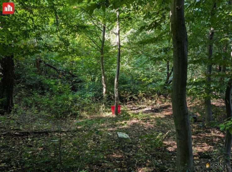 Nieruchomości Strojna, Działki  na sprzedaż, Janowice, ul. 