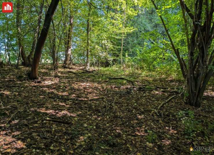 Działki  na sprzedaż, , Janowice, ul. 