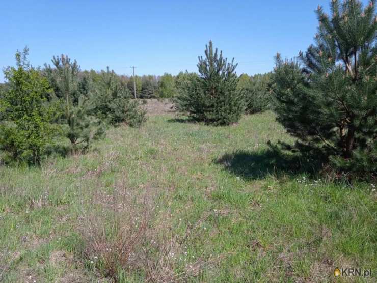 Krzyżówka, ul. , Działki  na sprzedaż, 