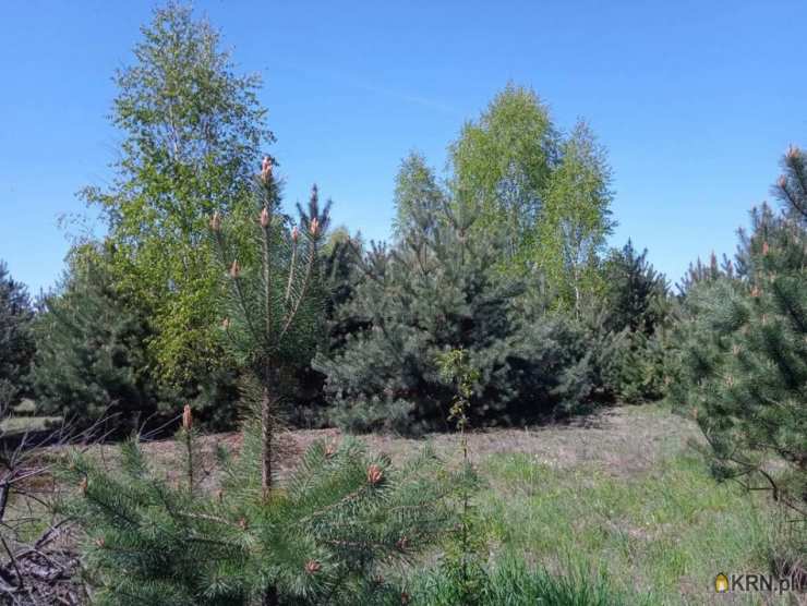 Krzyżówka, ul. , , Działki  na sprzedaż