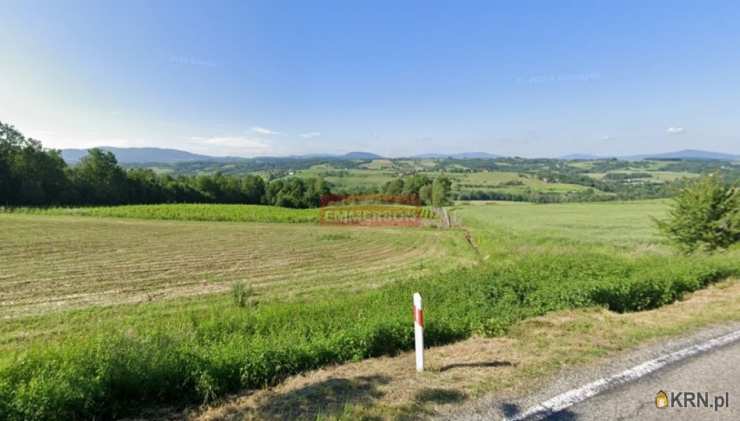 Działki  na sprzedaż, Łapanów, ul. , 