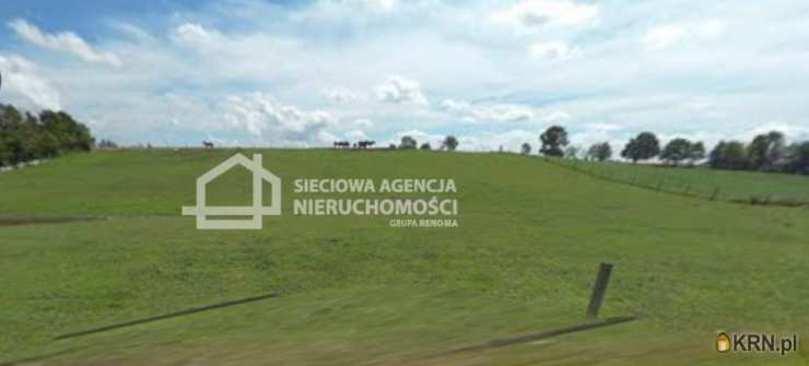 Sieciowa Agencja Nieruchomości Grupa Renoma, Działki  na sprzedaż, Łebno, ul. 