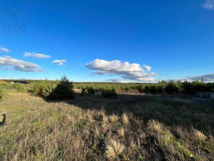 Działki  na sprzedaż, Łowyń, ul. , 