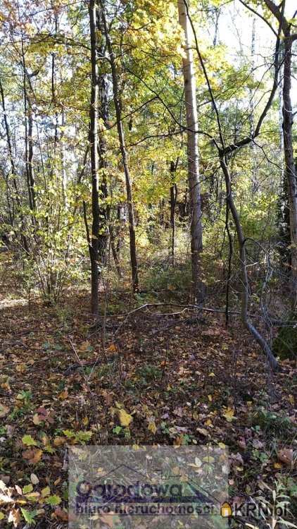 Działki  na sprzedaż, , Magdalenka, ul. 