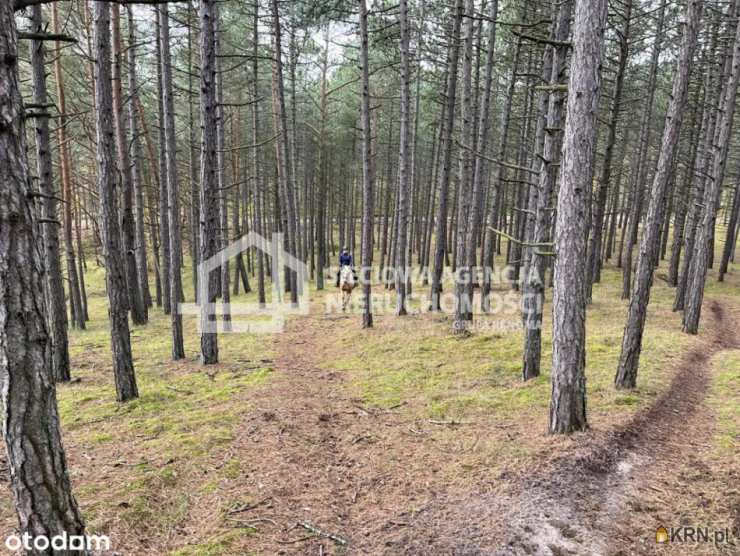 Sieciowa Agencja Nieruchomości Grupa Renoma, Działki  na sprzedaż, Mikoszewo, ul. 