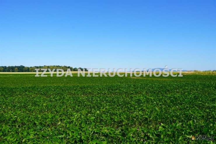 Działki  na sprzedaż, Mikoszowa, ul. , 