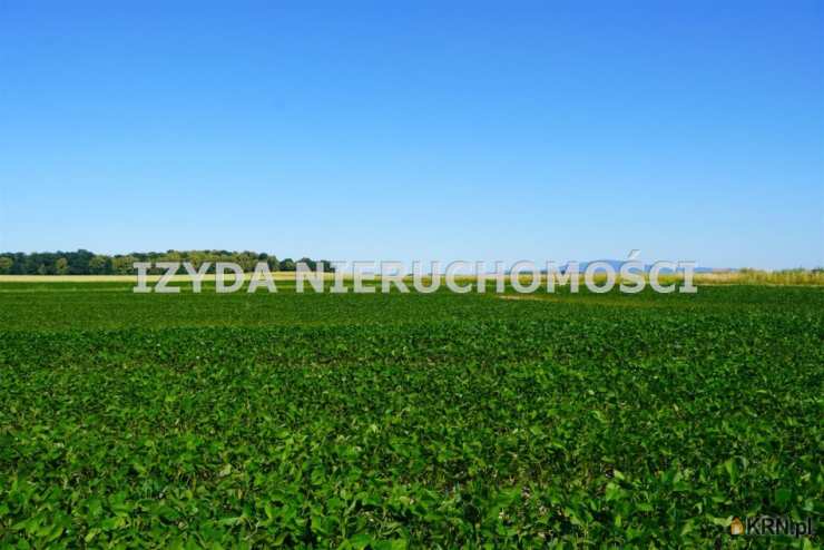 Działki  na sprzedaż, Mikoszowa, ul. , 