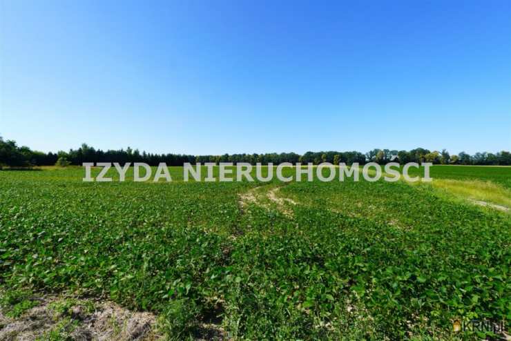 Działki  na sprzedaż, , Mikoszowa, ul. 