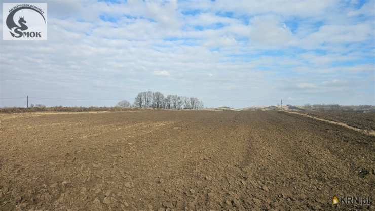 Działki  na sprzedaż, , Niegardów, ul. 