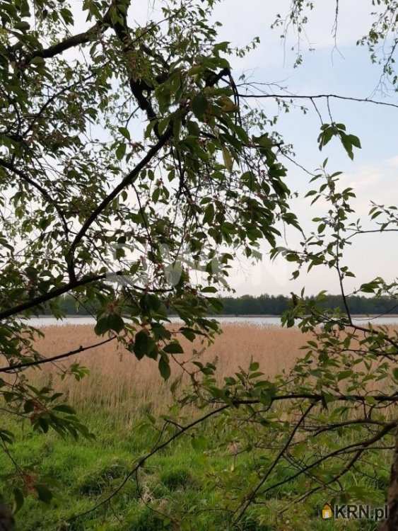 Polkowice Biuro - Agencja Nieruchomości WGN, Działki  na sprzedaż, Ostaszów, ul. 