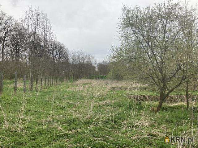 Działki  na sprzedaż, , Ozorowice, ul. 