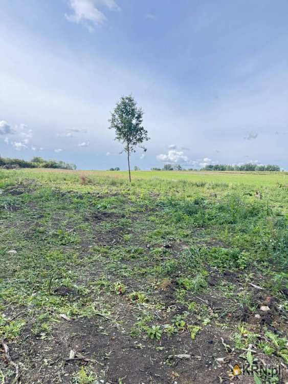 Działki  na sprzedaż, Pokrzywnica, ul. , 