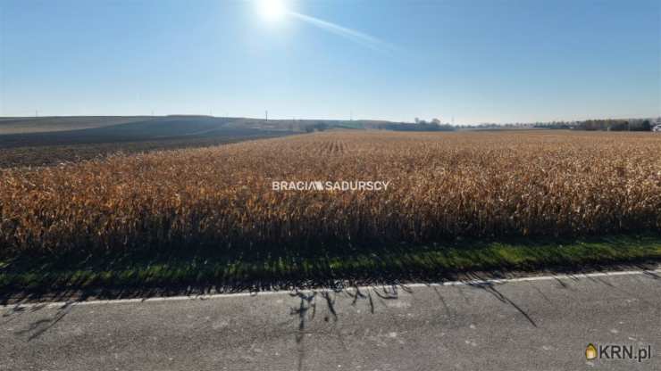 Prandocin-Iły, ul. , , Działki  na sprzedaż