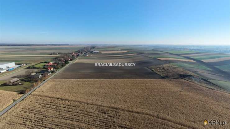 BRACIA SADURSCY NIERUCHOMOŚCI ODDZIAŁ BS5 NOWA HUTA, Działki  na sprzedaż, Prandocin-Iły, ul. 