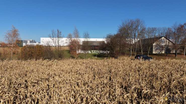 BRACIA SADURSCY NIERUCHOMOŚCI ODDZIAŁ BS5 NOWA HUTA, Działki  na sprzedaż, Prandocin-Iły, ul. 