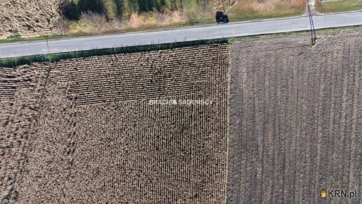 Prandocin-Iły, ul. , , Działki  na sprzedaż