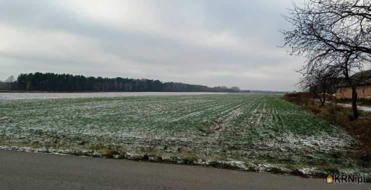 Puławy, os. Podlesie, ul. , Działki  na sprzedaż, 