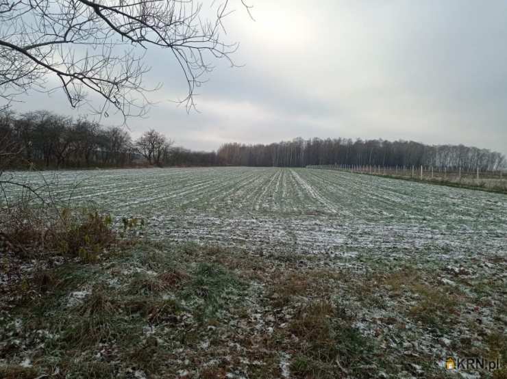 Puławy, os. Podlesie, ul. , , Działki  na sprzedaż