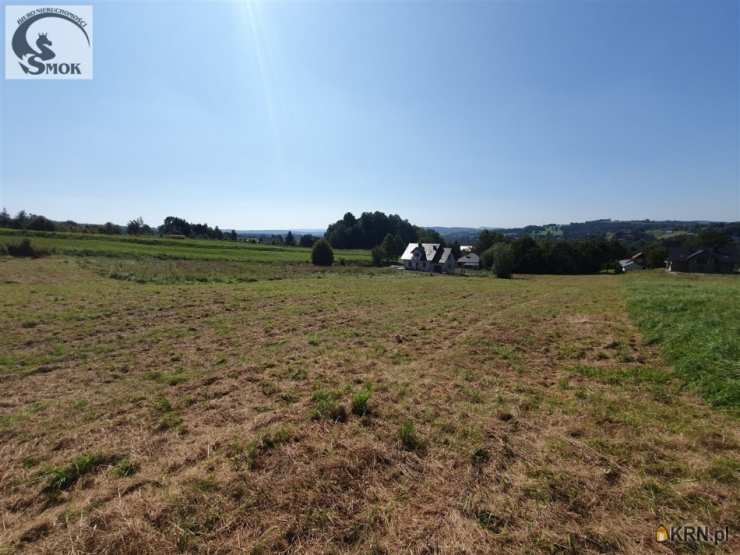 Działki  na sprzedaż, Radziszów, ul. , 