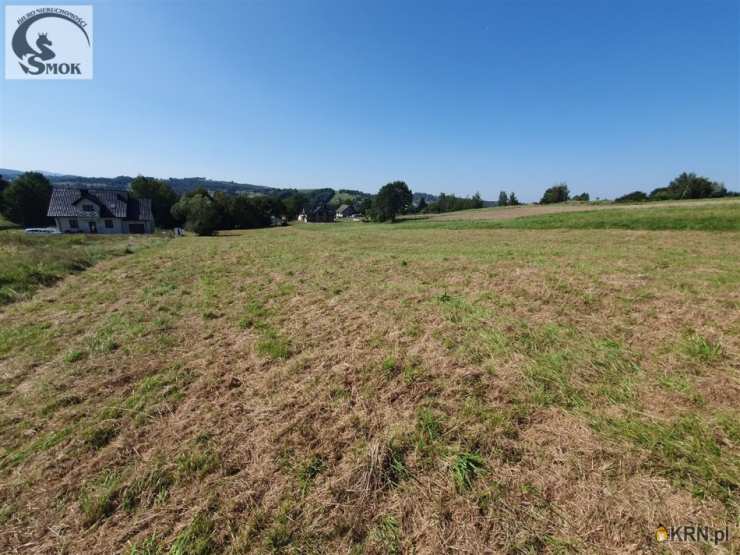 Działki  na sprzedaż, , Radziszów, ul. 