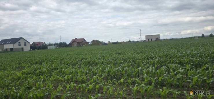 Rogoż, ul. , Działki  na sprzedaż, 