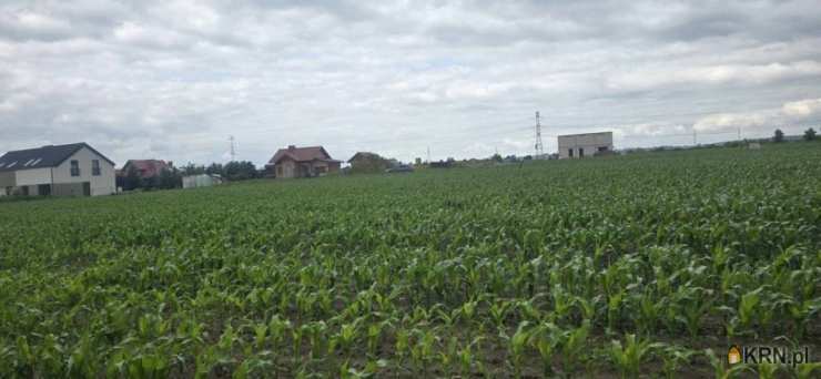 Rogoż, ul. , Działki  na sprzedaż, 