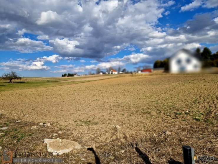 Działki  na sprzedaż, , Sadowie, ul. 