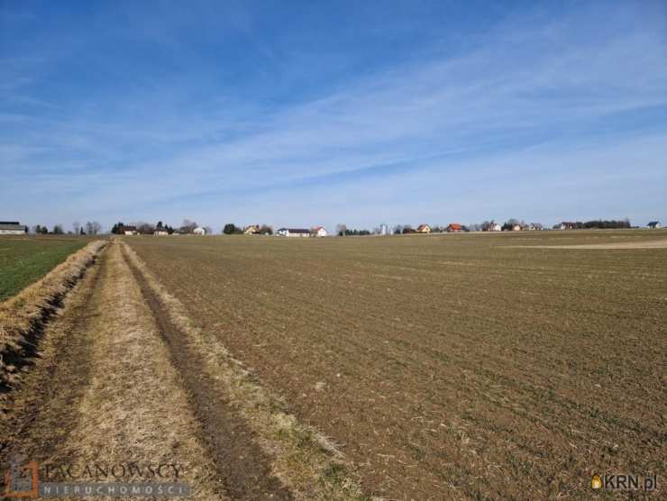 Działki  na sprzedaż, , Sieciechowice, ul. 