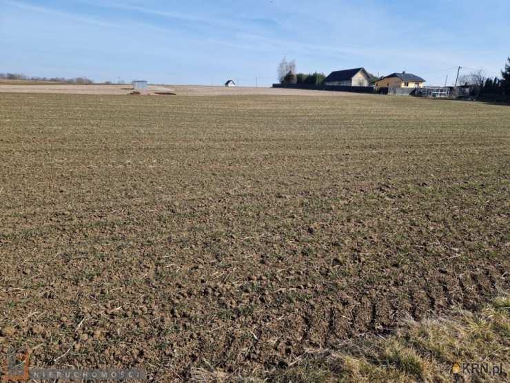 Działki  na sprzedaż, Sieciechowice, ul. , 