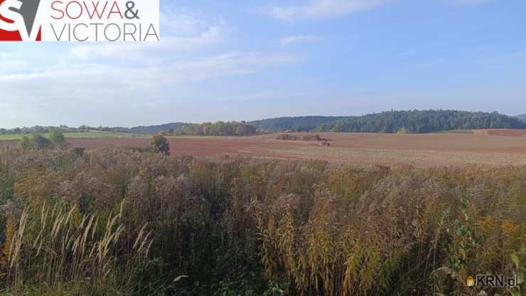 Biuro Nieruchomości SOWA, Działki  na sprzedaż, Stare Bogaczowice, ul. 