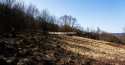 Działki na sprzedaż, Stróża