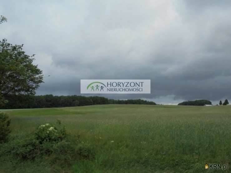 HORYZONT Nieruchomości, Działki  na sprzedaż, Szemudzka Huta, ul. 