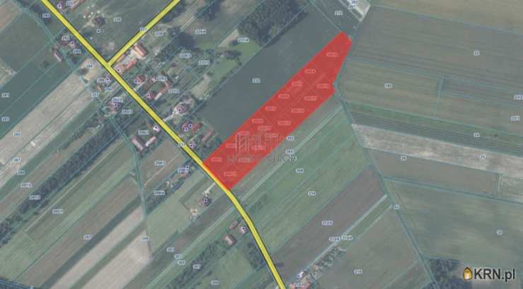 Teodorów, ul. , , Działki  na sprzedaż
