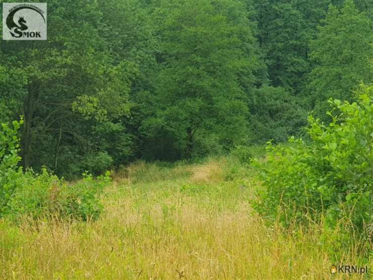 Tomaszkowice, ul. , Działki  na sprzedaż, 