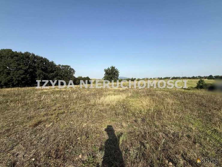 Działki  na sprzedaż, Wilków, ul. , 